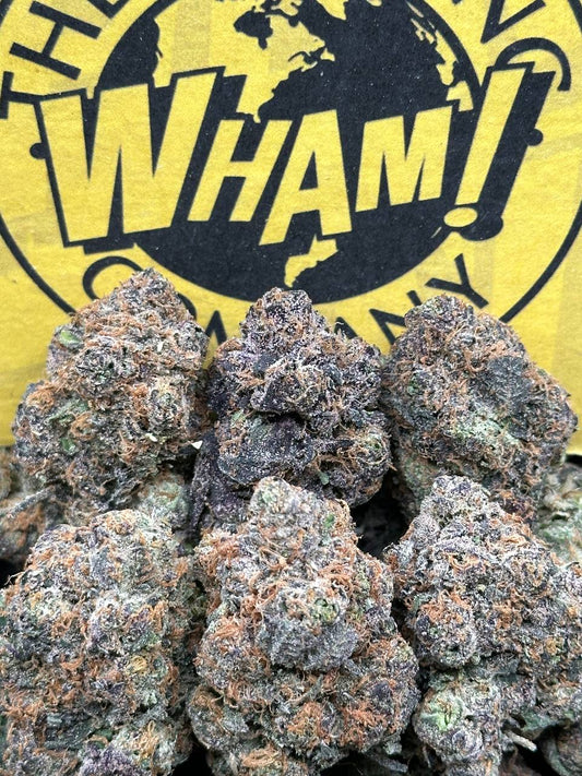 Super Glue (Indica Hybrid)