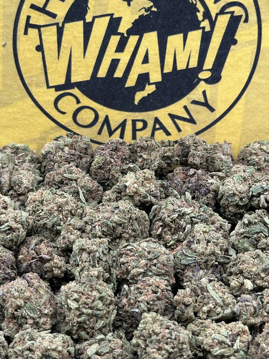 Yerba Fuel SM (Hybrid)