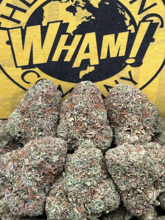 Gelato Cake (Indica Hybrid)