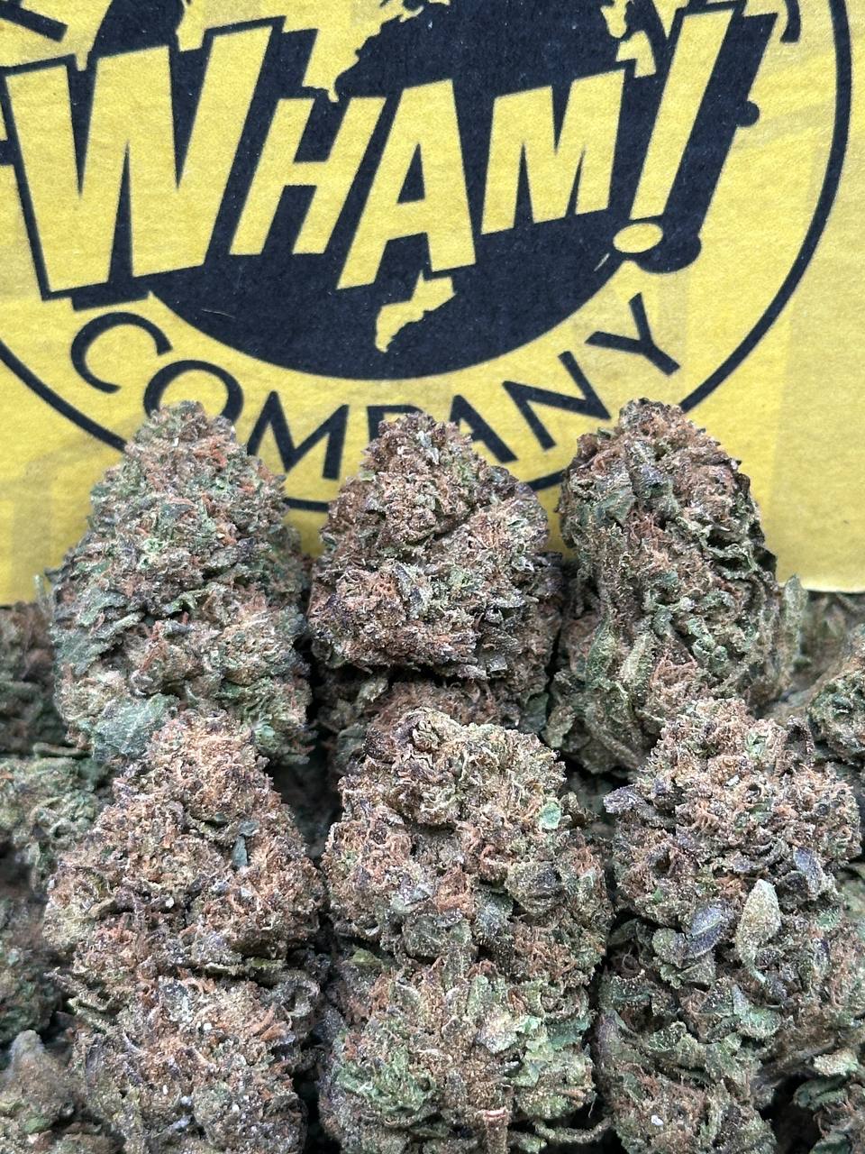 Strawpicana (Hybrid)