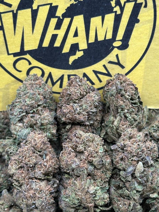 Strawpicana (Hybrid)