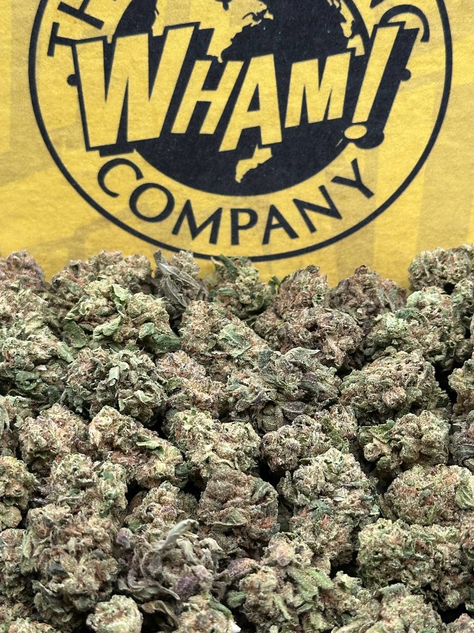 Gary Peyton SM (Hybrid)