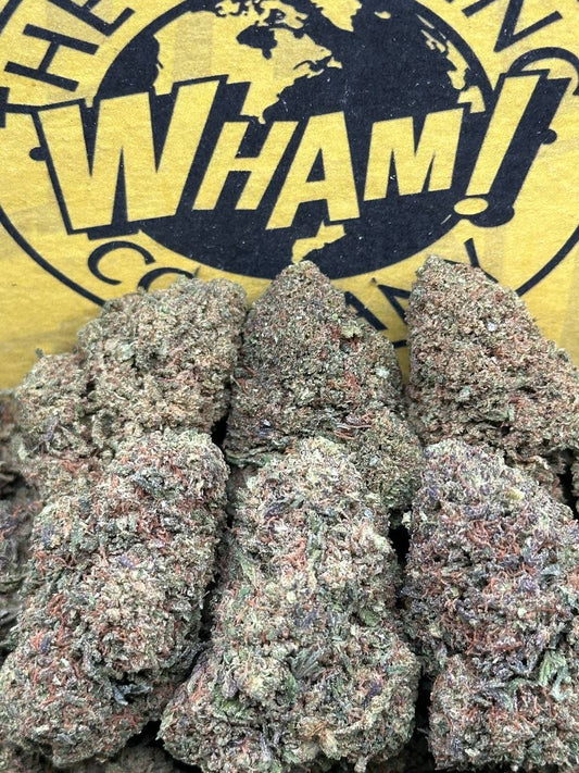 Banana Punch (Hybrid)