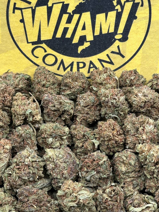 Super Silver Haze SM (Indica)