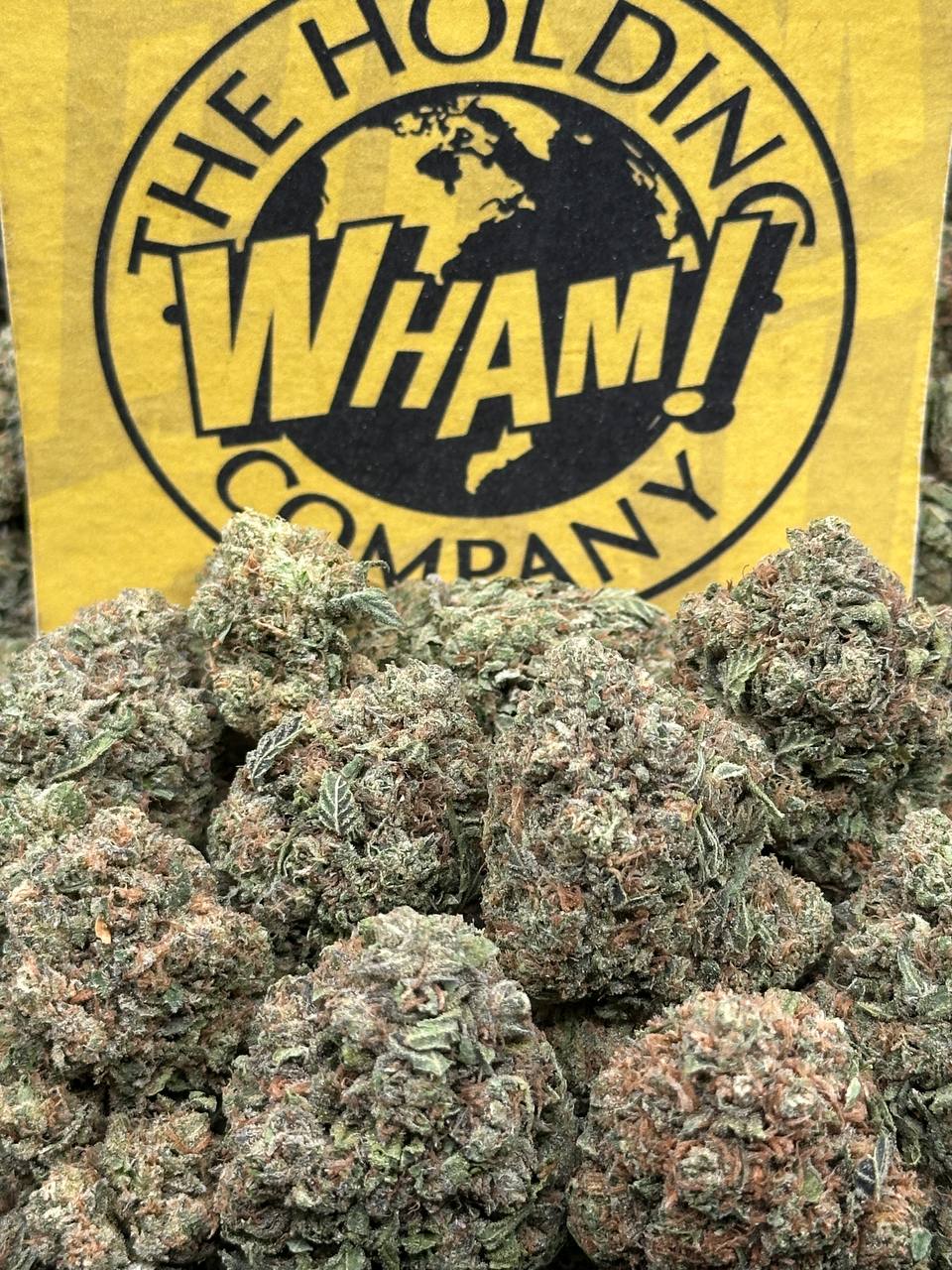 Zookies (Hybrid)