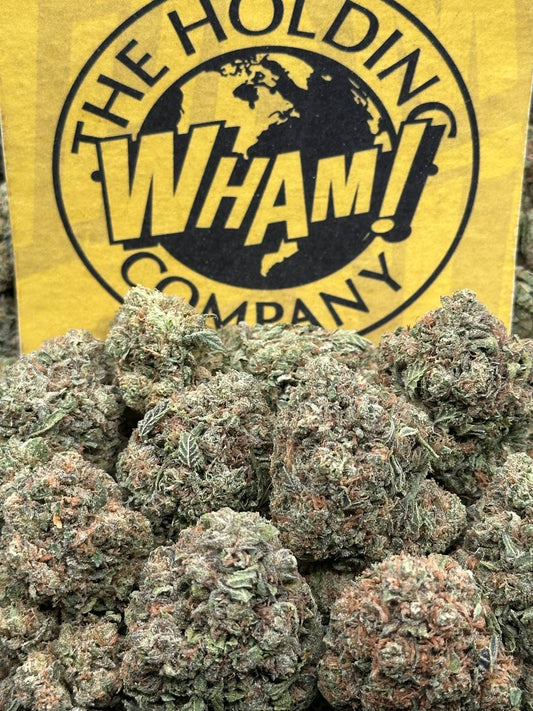 Zookies (Hybrid)