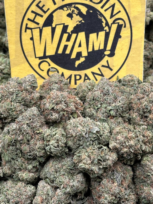 Black Cherry Gelato (Indica Hybrid)