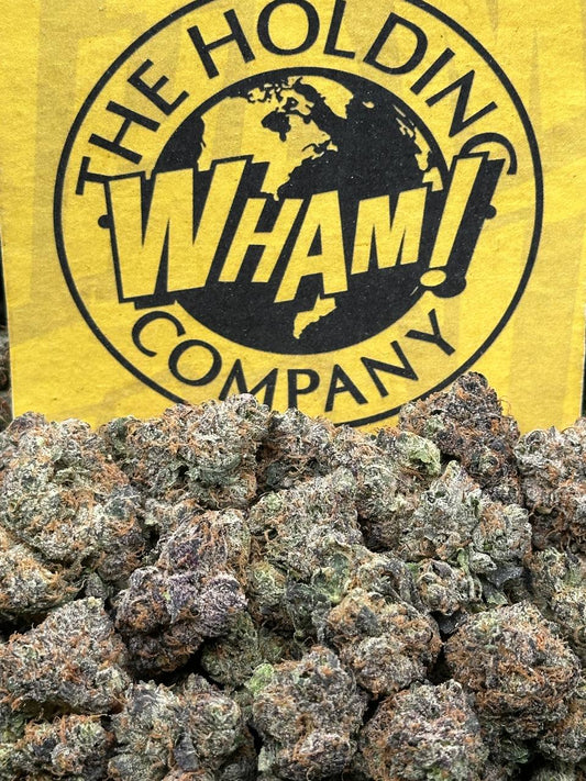 Blue Cherry Gelato (Indica)