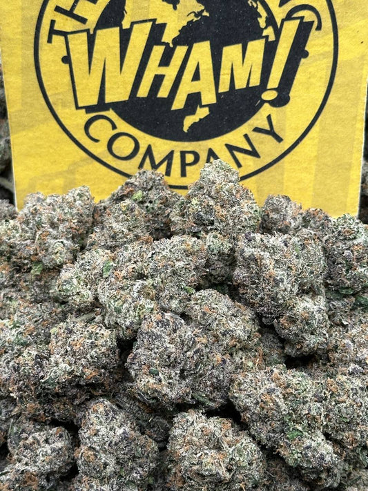 Purple Punch (Hybrid)