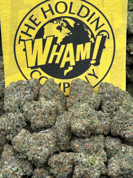 Gelato Paloma (Hybrid)