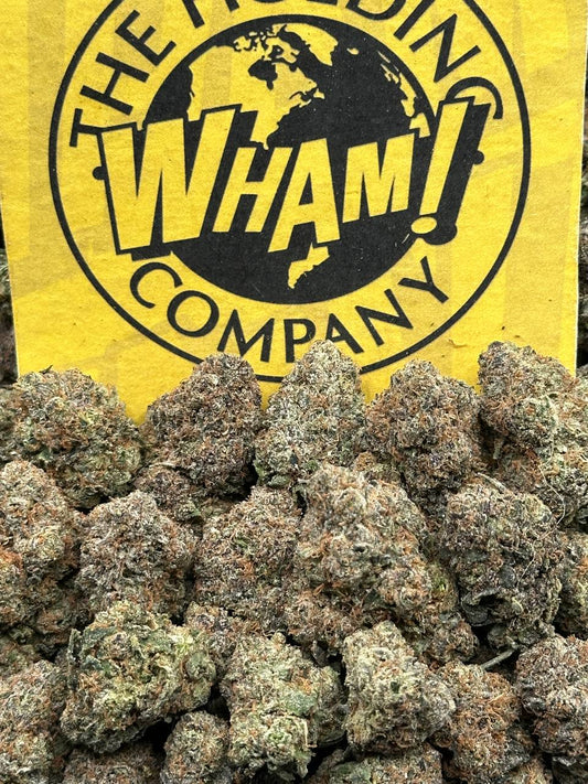 Mr Nasty (Indica)