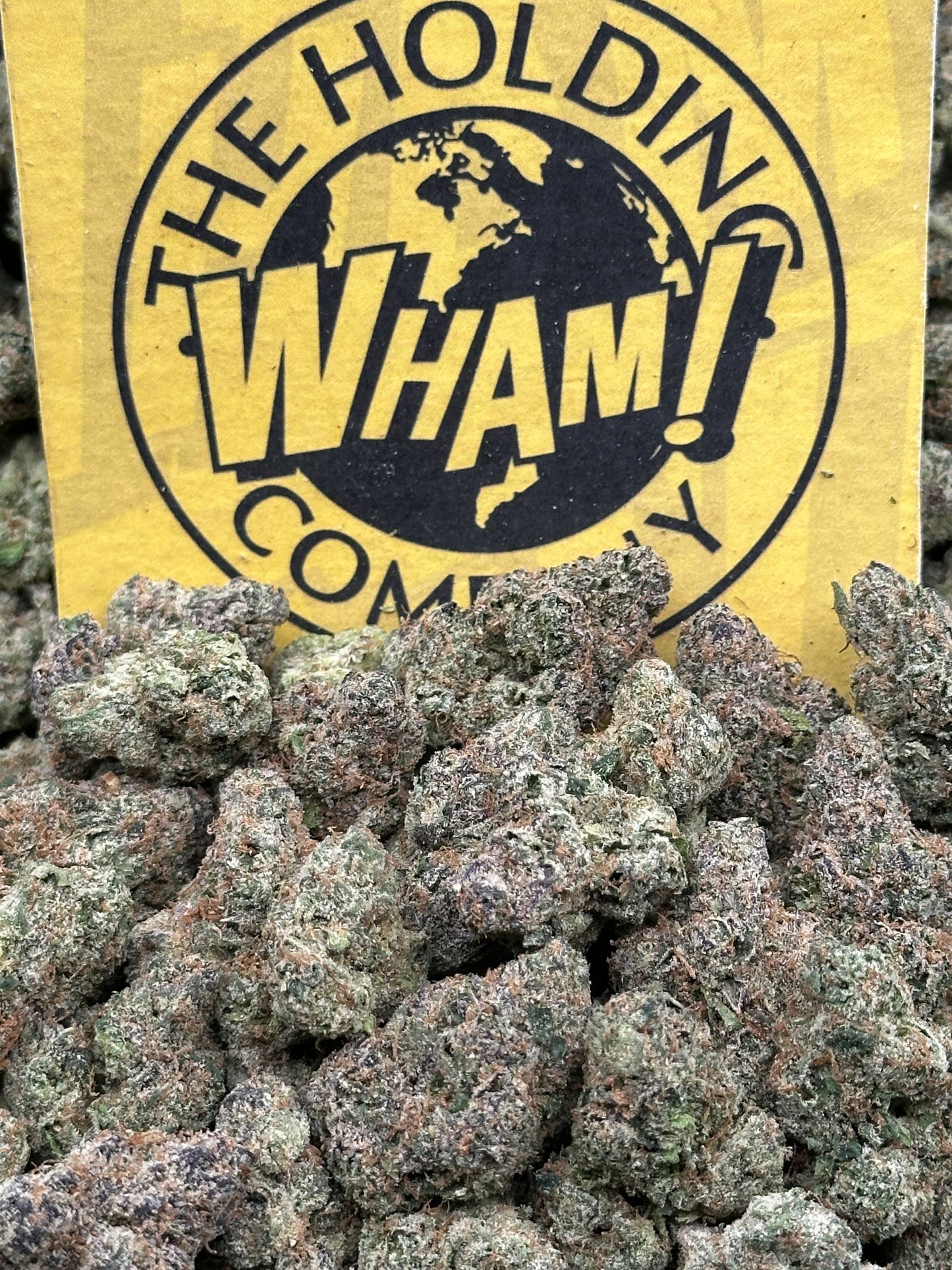 Quattro Kush (Hybrid)