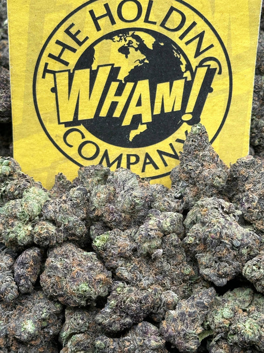Black Cherry Gelato (Hybrid)