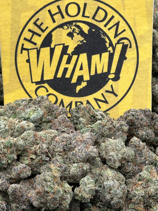Blue Cherry Gelato (Hybrid)