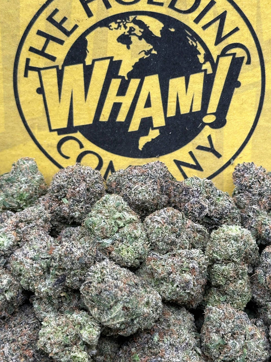 9 LB Hammer (Indica)