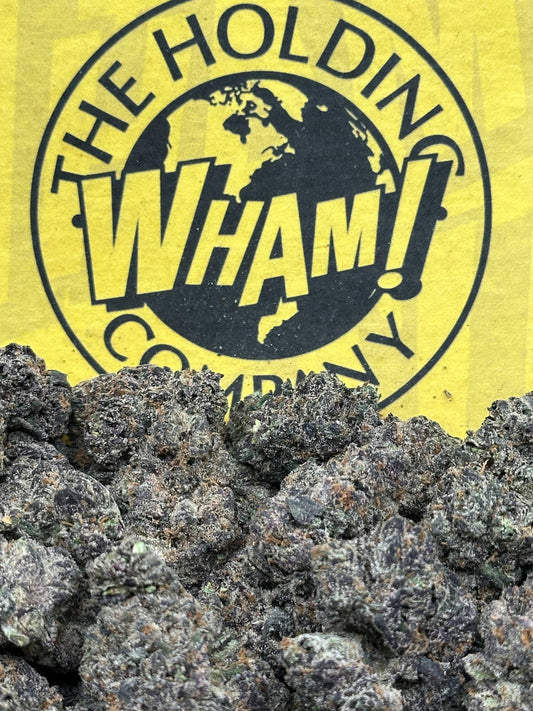 Cheetah Pizz (Hybrid)