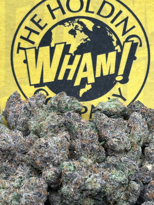 GMO (Indica)