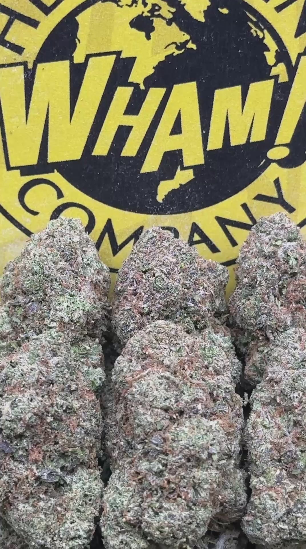 White Cherry Gelato(Indica Hybrid)