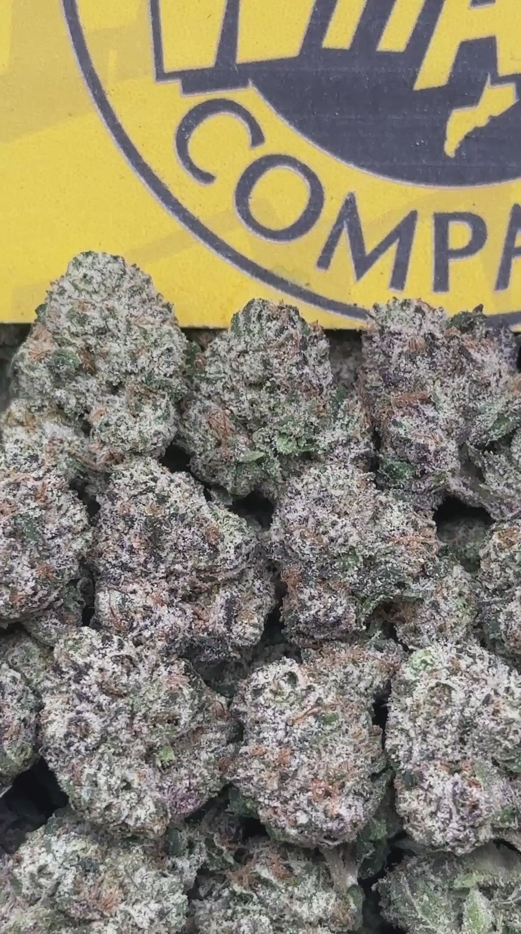 BANG 2.0 Meds & SM (Indica Hybrid)