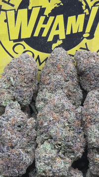 Black Runtz (Hybrid)