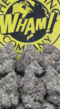 Black Cherry Runtz (Indica Hybrid)