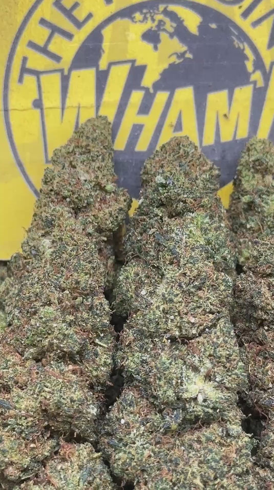 Cookies and Cream (Indica)
