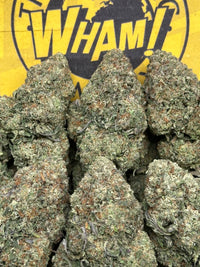Black Runtz (Hybrid)