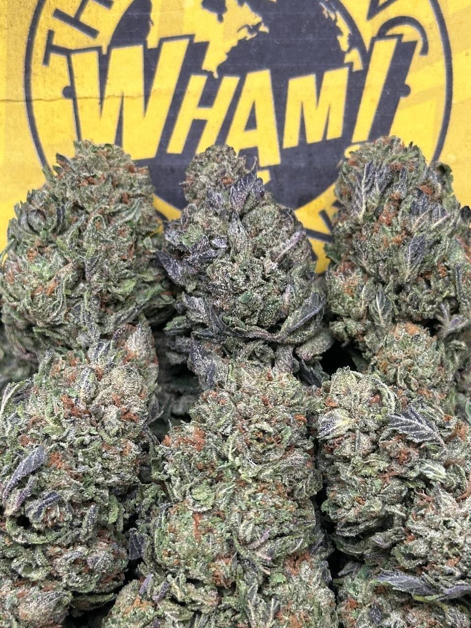 Rainbow Sherbet (Indica)