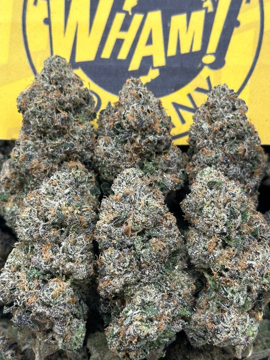 Xylora Dreamveil (Indica Hybrid)