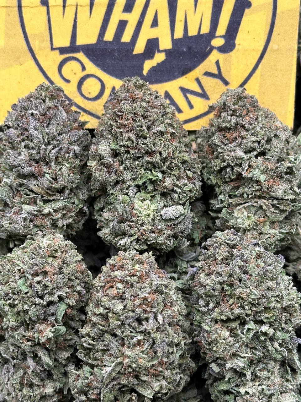 Cherry Bombay (Indica Hybrid)