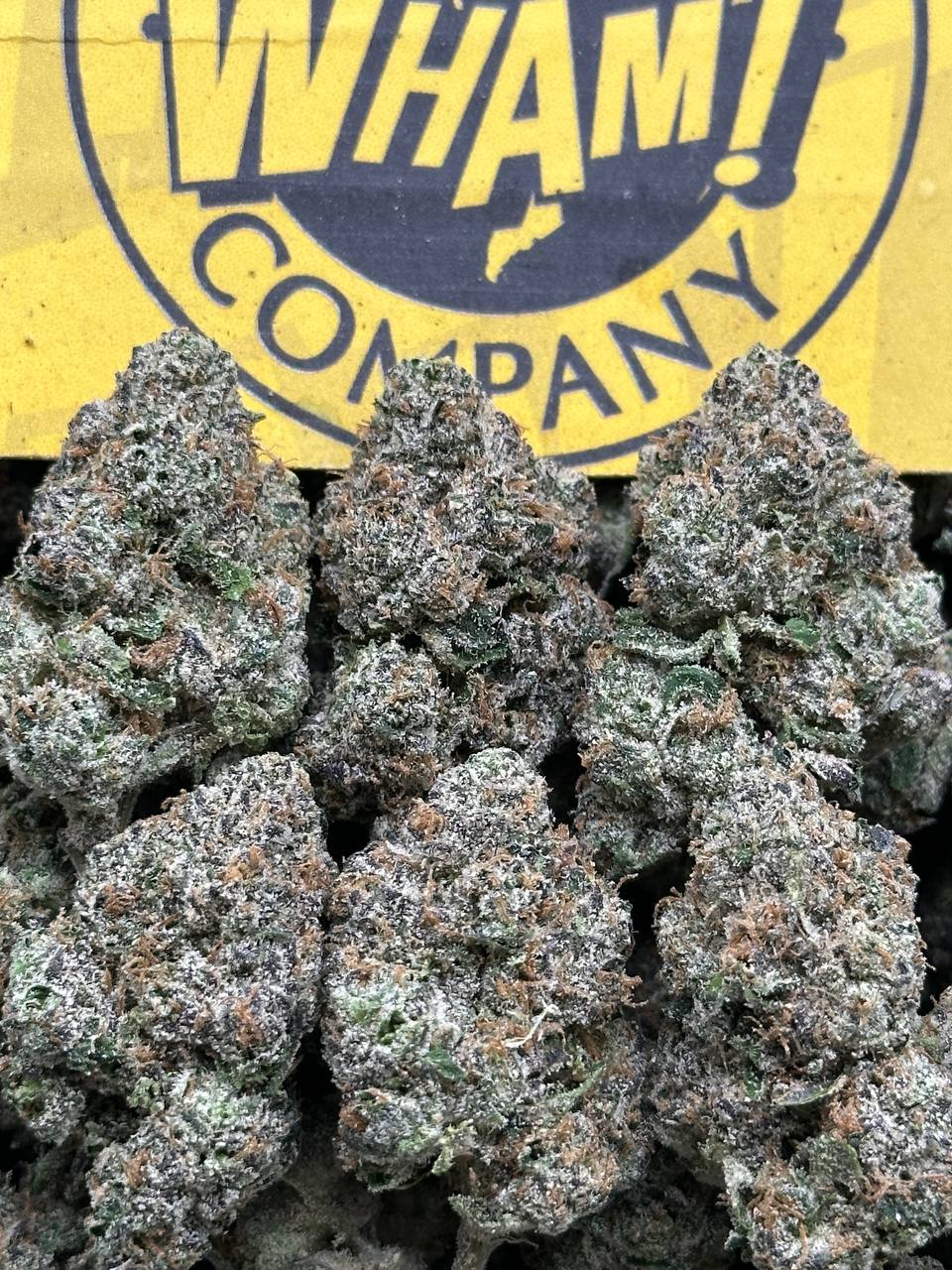 Utopia Runtz (Indica Hybrid)