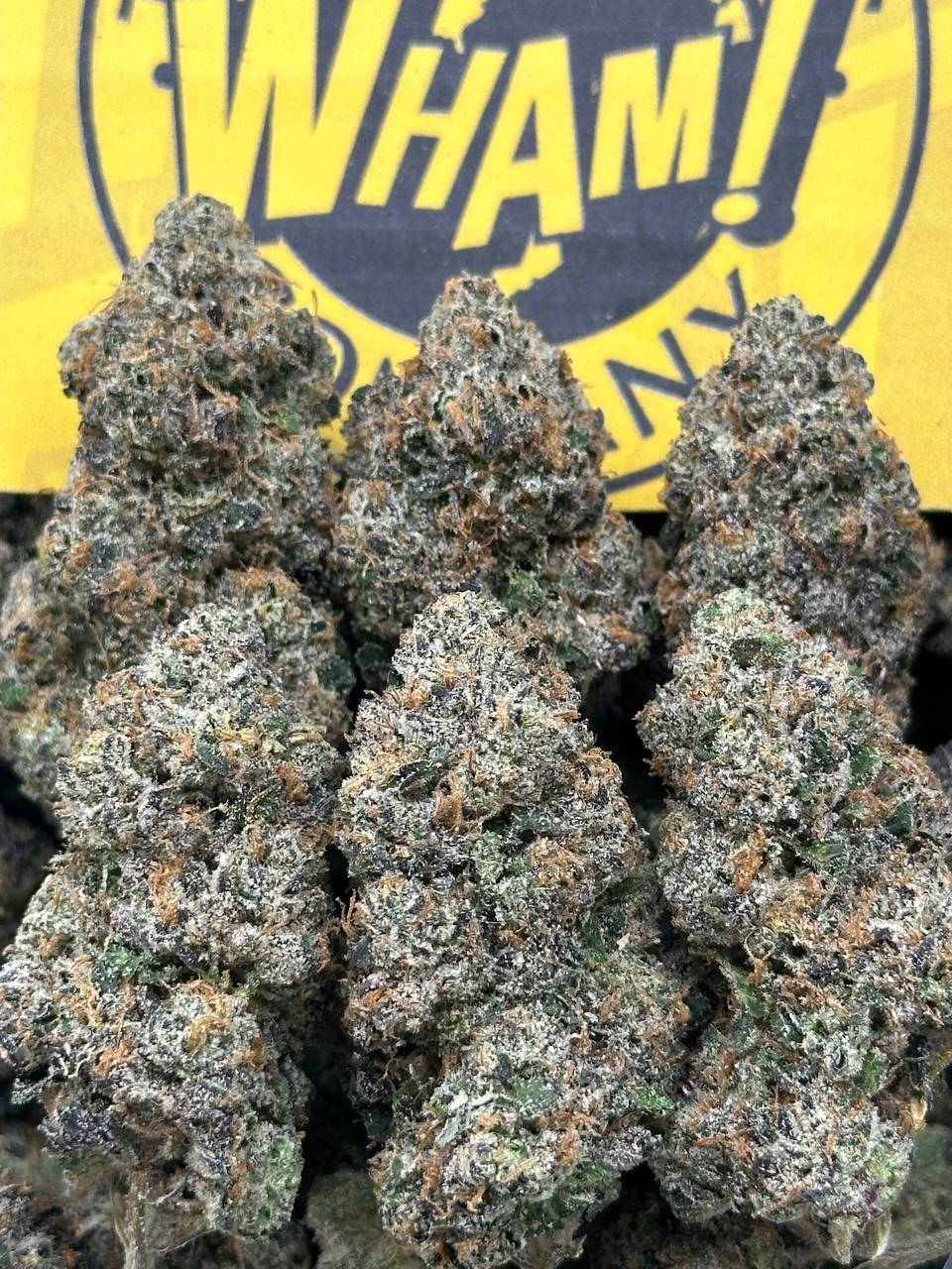 WOW 🤩 (Indica Hybrid)